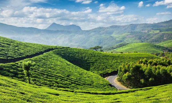 munnar